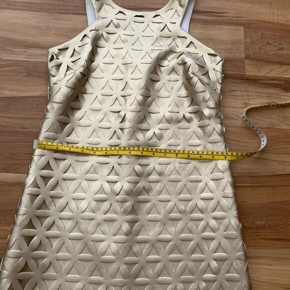 Lilly Pulitzer Mango Gold Metallic Daisy Laser Cut XS Sleeveless Party - Picture 6 of 11